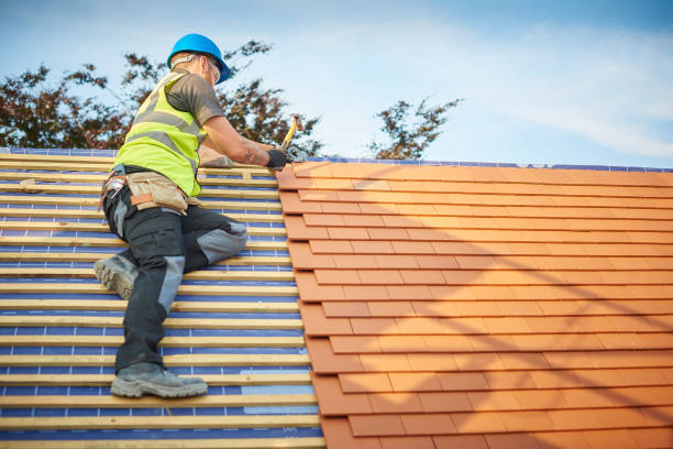 Best Roof Insulation Installation  in Glendale, CO